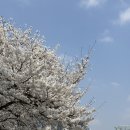 남일어린이공원 이미지