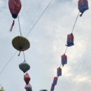 세비체210