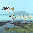 그린민박투 이미지