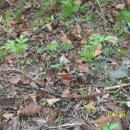 흥국농장 이미지