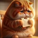 김용태내과의원 이미지