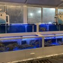 대게 맛나게 김포점 이미지