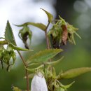 주몽학교 이미지