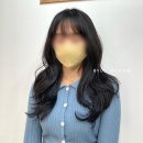 주희헤어 - 동구 | 주희헤어