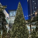 리빙아울렛 DC백화점 | 송도 가볼만한 곳 현대프리미엄아울렛 송도점 주차 나이키 방문후기