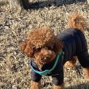 원더풀펫살롱 이미지