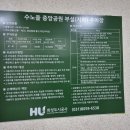 안산롤러장 롤러소닉 롤러장 후기
