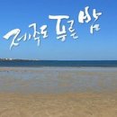 제주도 푸른밤 이미지
