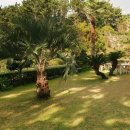 파인빌펜션 이미지