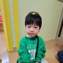 차이나꽁시꽁시 이미지