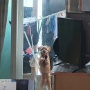 북극해고등어천안동남점 | [천안 신방동] 화로 생선구이 전문점 &#34;북극해 고등어 천안동남점&#34;