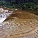 세솔팬션 이미지