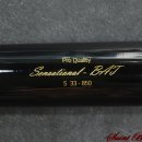 블랙배트 이미지