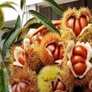 번개약수터 이미지