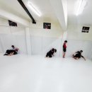홍복싱(MMA)주짓수 이미지