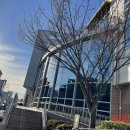 농소1동도서관 이미지