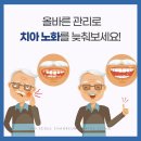 365서울차오름치과의원 네이버블로그