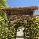 201 | 서산여행 1박2일 코스 봄꽃 명소 맛집 총정리