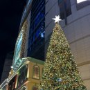 슈퍼스타 K 시즌3 | 명동 롯데백화점 크리스마스 점등 시간 정보 + 재브바까지 완벽정리