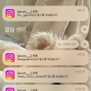 5월은 푸르구나