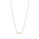 티파니 가든 이미지