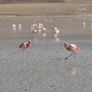 우유니(UYUNI) 이미지