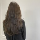 두빗한결•제니컷!하이레이어드컷!에 하고싶어?•산본미용실 산본두빗살롱 부원장 한결