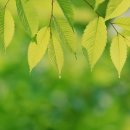 해건한의원 이미지