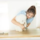 이상동물병원 이미지