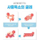 진정한의원 이미지