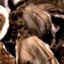 (주)디지털실크로드 이미지