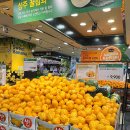 까사미아창고형아울렛서 | [체험단후기] 킴스클럽 분당점의 추천상품 베스트 5! #이로운쌀, #한돈 1등급 한판 삼겹살 로스, #자연...