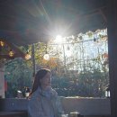 주수공원 화장실 | 임신 21주차 | 셀프 주수사진 기록하기, 21주차...대추밭백한의원 임신 성공 4첩 한약 환불 방법과 후기