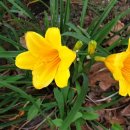 세기 행정사 사무소 이미지