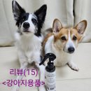 도그스타 | (강아지 미스트 추천)도그스킨 강아지 아로마 퐁당 닥터테라피 미스트 사용 후기