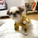 도기다이닝 이미지