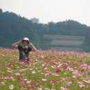 행운공원 이미지