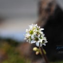 기청산식물원 이미지