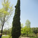 강릉교동짬뽕 이미지