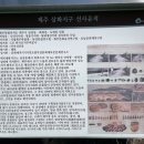 도련지석묘 1호 네이버블로그