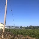 산방산탑부동산공인중개사사무소 이미지