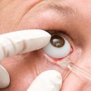 평화의안 이미지