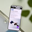 여름 물청소기 추천! 무엇이든 흡수하는 다이슨 클린앤워시 하이진 물청소기 실사용 후기