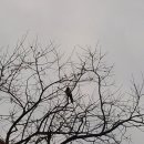 아현초교 이미지