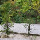 아버지의 숲 산정캠프 이미지