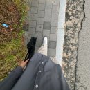 와플대학 춘천후평캠퍼스 | 열심히 먹다가 끝난 2024 추석연휴!