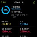 고양체육관 농구장2 이미지