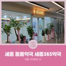 세종365약국 이미지