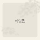 쉬림핀 티스토리