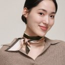 비안느 이미지